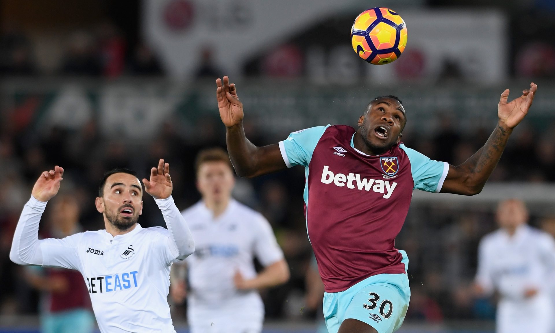 荷兰队此次 荷兰队此次